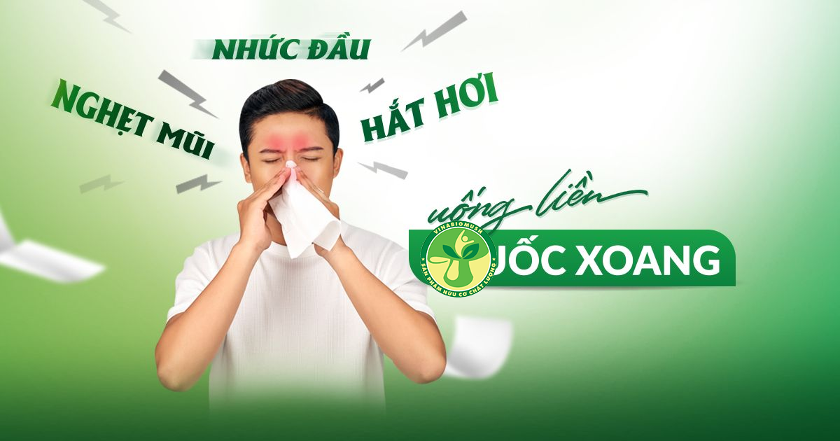 Hắt hơi, nghẹt mũi, nhức đầu: coi chừng do viêm mũi xoang. 